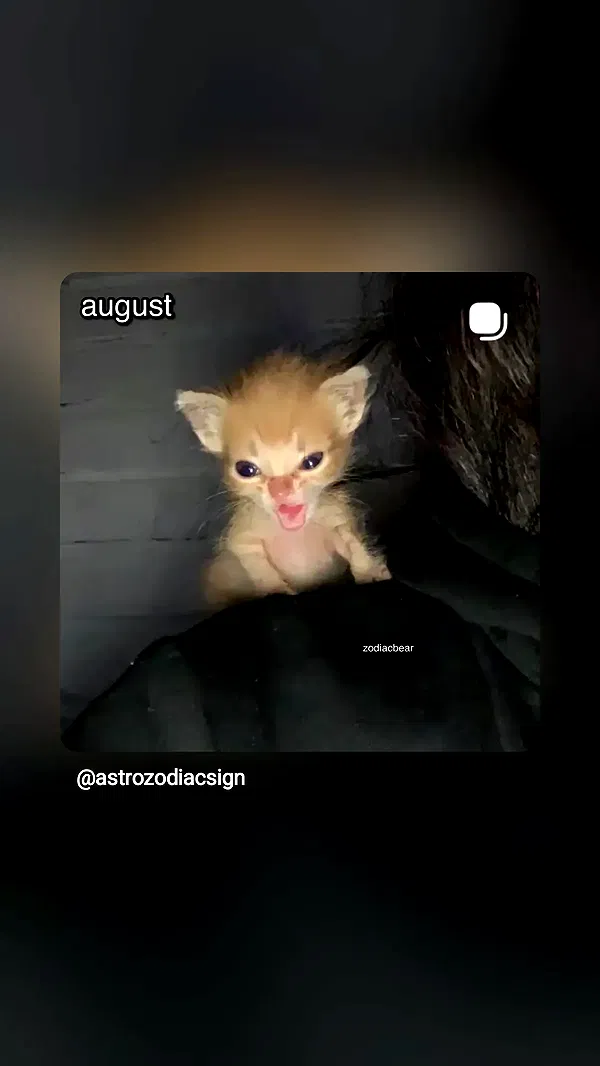 moonyyyya moonyyyya archive image