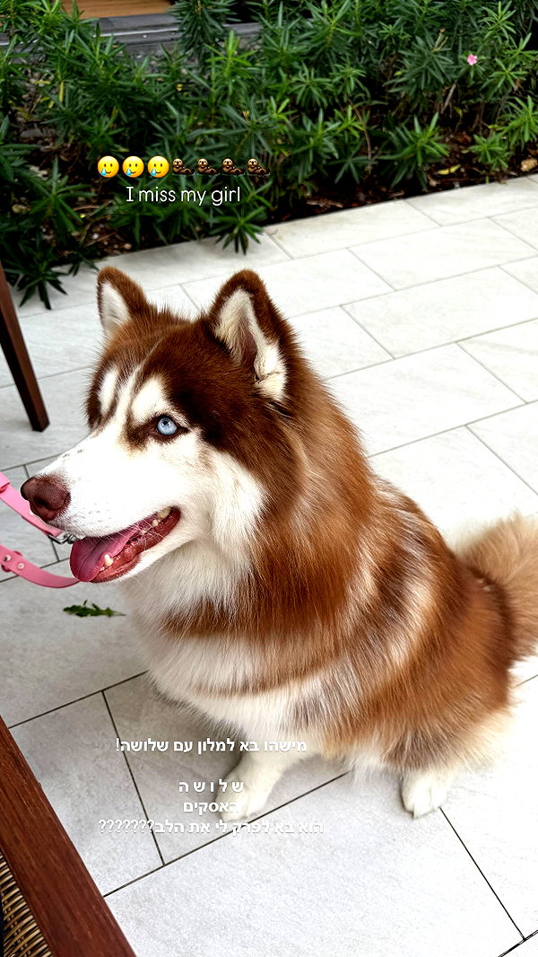 maya.keyy instagram image archive image