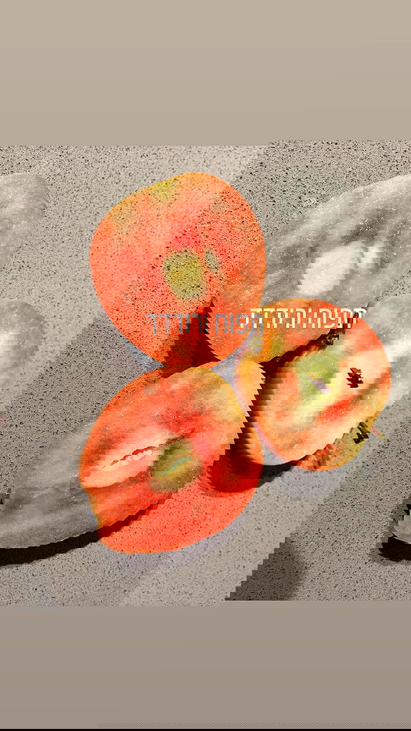 elianachetrit image ~ Altpins