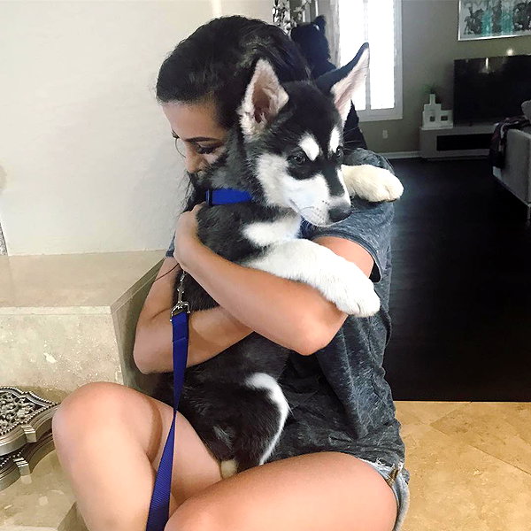 sssniperwolf instagram image archive image