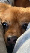 babynympho_archive Altpins Profile Picture