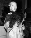 xtina Altpins Profile Picture