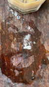 babynympho_archive Altpins Profile Picture