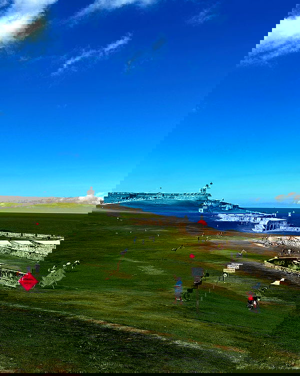 taylor.creeden taylor.creeden archive image