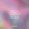 hilla.sela Altpins Profile Picture