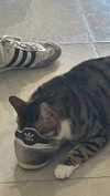 lila.garnik Altpins Profile Picture