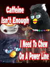ellaexplicit_ Altpins Profile Picture