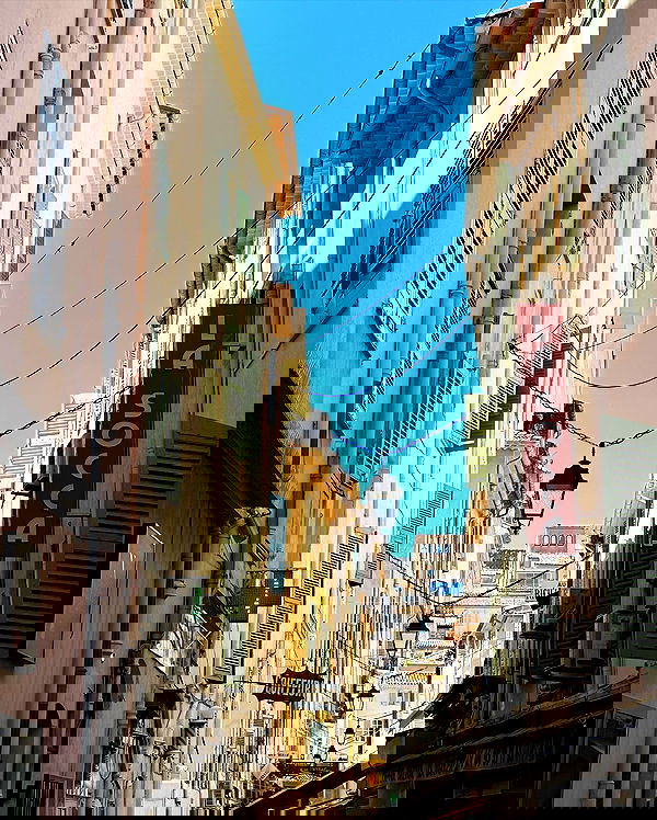 taylor.creeden taylor.creeden archive image