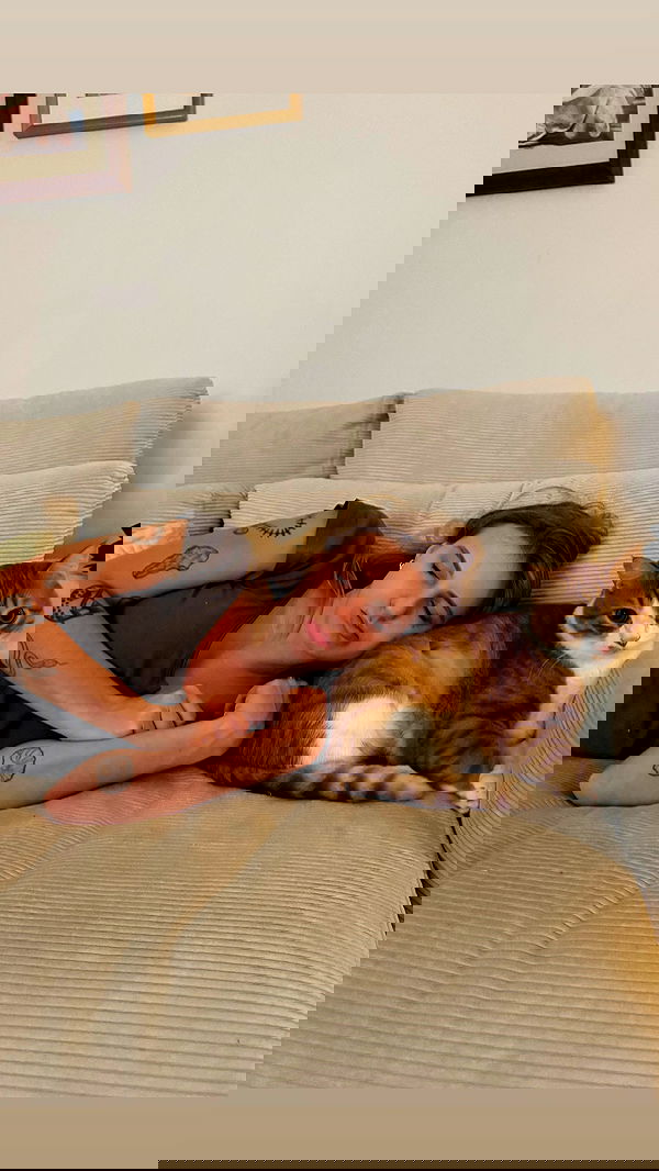 iambohema.v2 iambohema.v2 archive image