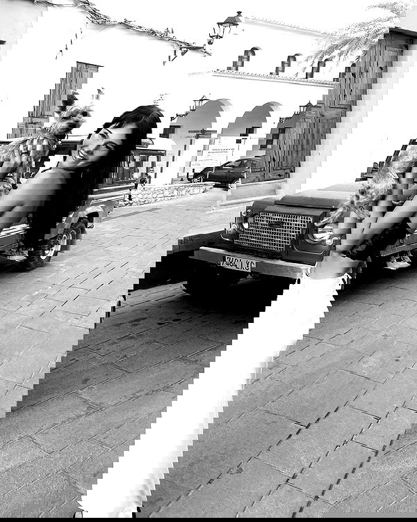 taylor.creeden taylor.creeden archive image