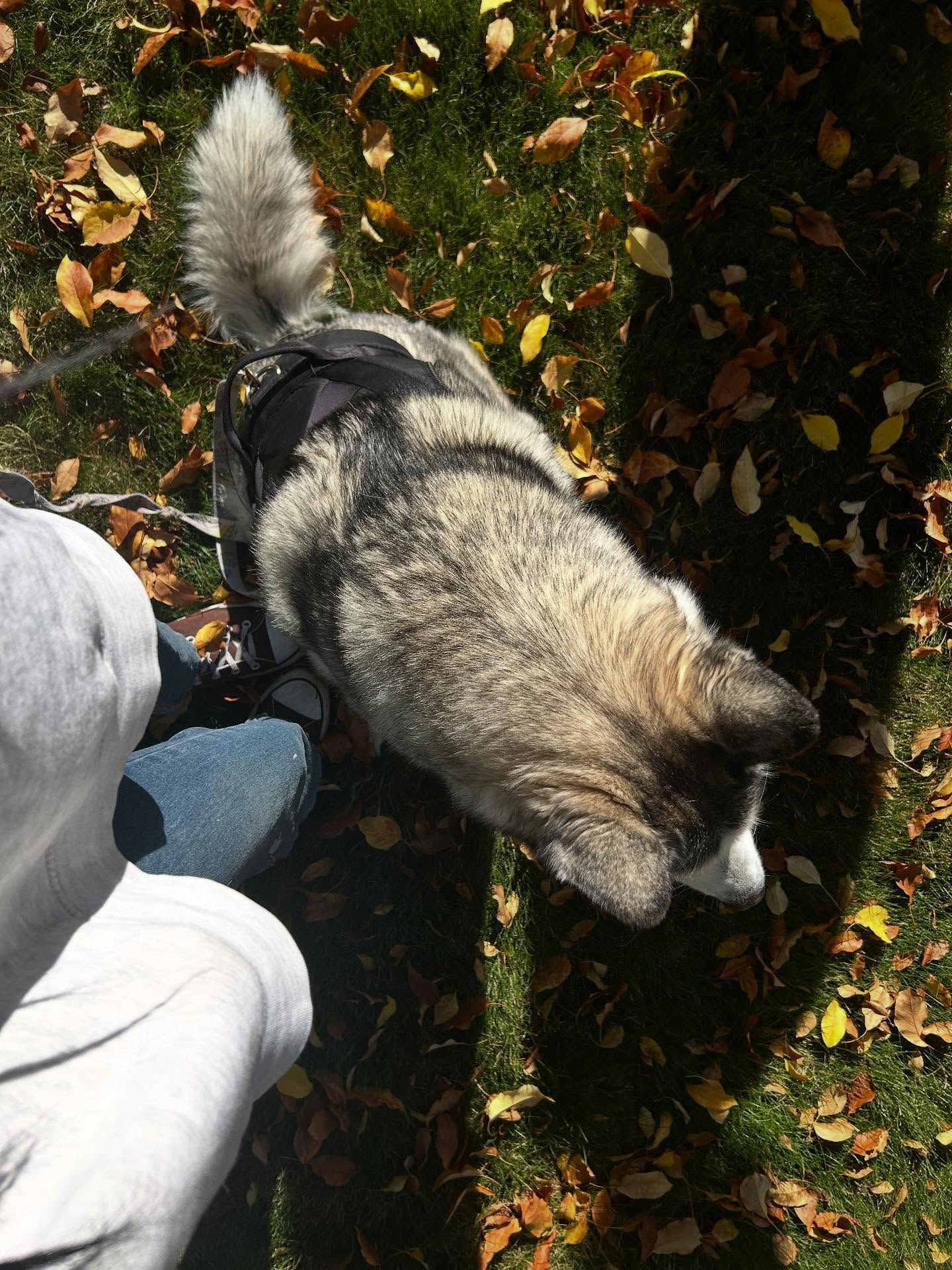 _animechika_ instagram image archive image