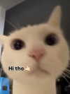 milkibunshehe Altpins Profile Picture