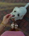 danamrts Altpins Profile Picture