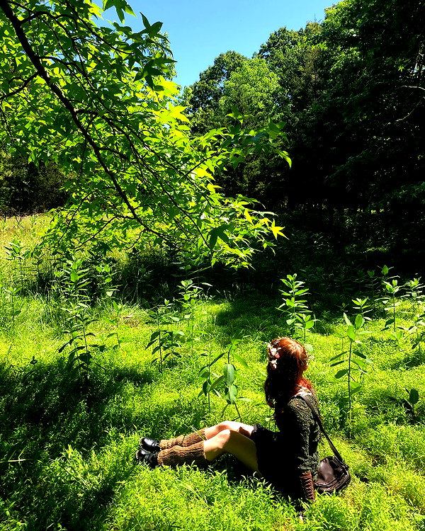 annalysetaylor instagram image archive image