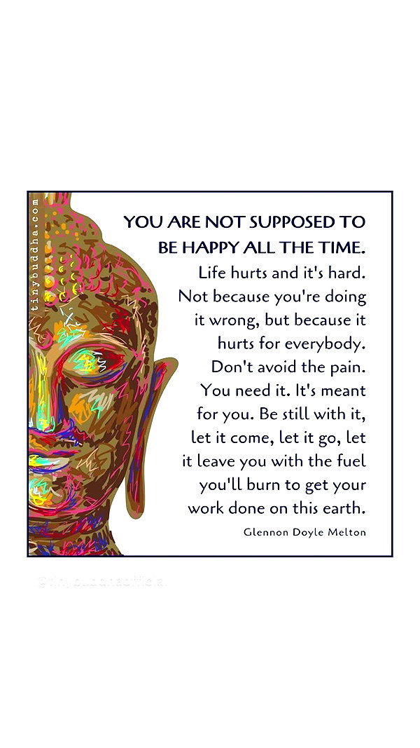 haileylayfield instagram image archive image