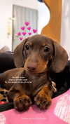 maya.keyy Altpins Profile Picture