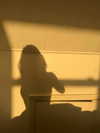 777pb_ Altpins Profile Picture