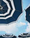 __rrenard__ Altpins Profile Picture