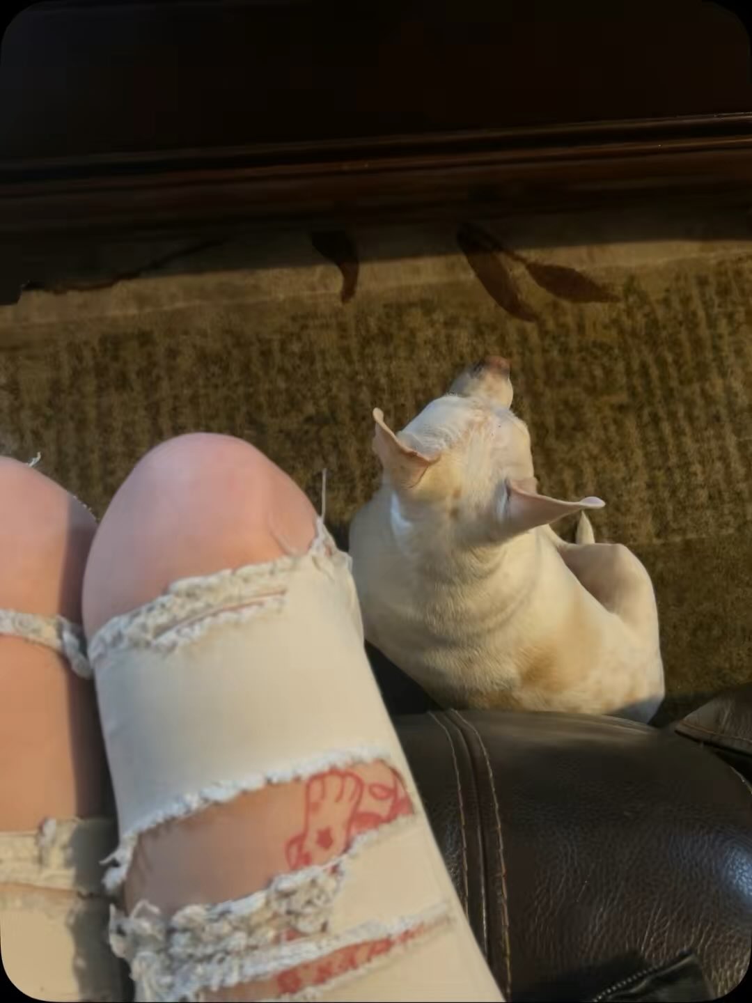 _animechika_ instagram image archive image