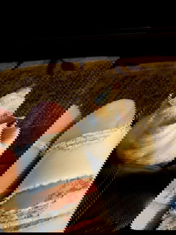 _animechika_ image ~ Altpins