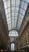 federica.piccinni Altpins Profile Picture