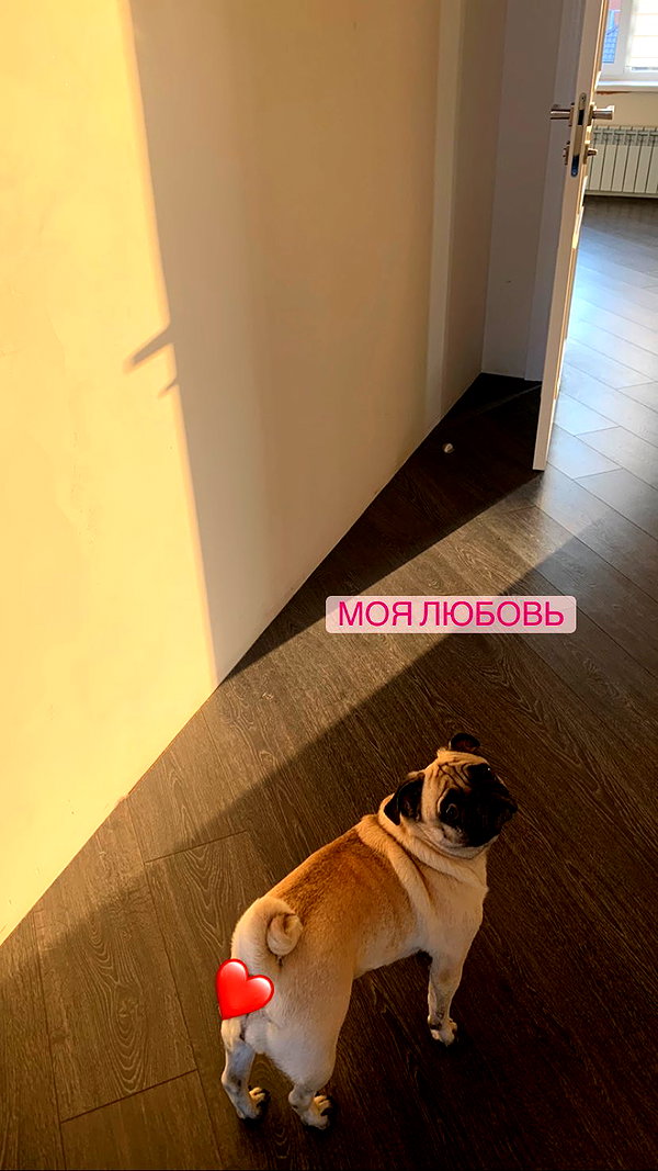 nyiityam instagram image archive image