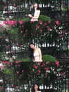 tgiangya Altpins Profile Picture