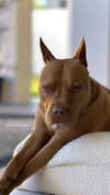 olivia.mathers Altpins Profile Picture