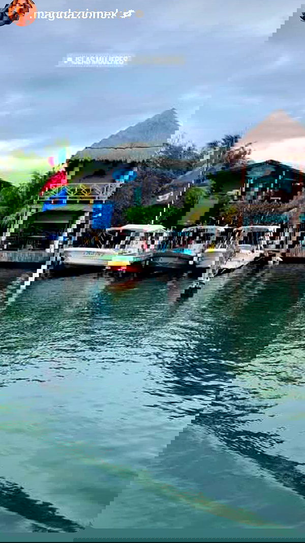 taylor.creeden taylor.creeden archive image