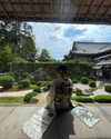 ll.lu1s Altpins Profile Picture