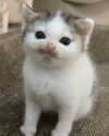 catl0verr69 Altpins Profile Picture