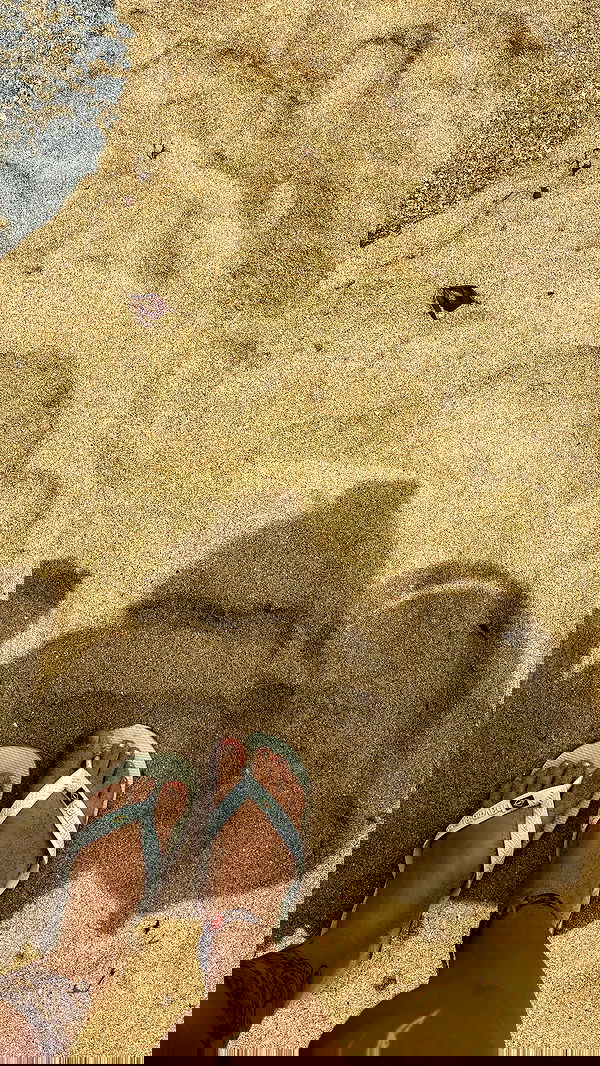 eusandyyh eusandyyh archive image