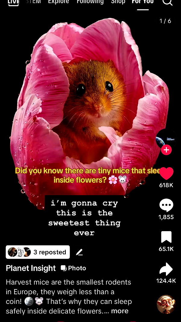 Archived image from @soulcandyx on Instagram
