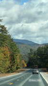 karin_orhov Altpins Profile Picture