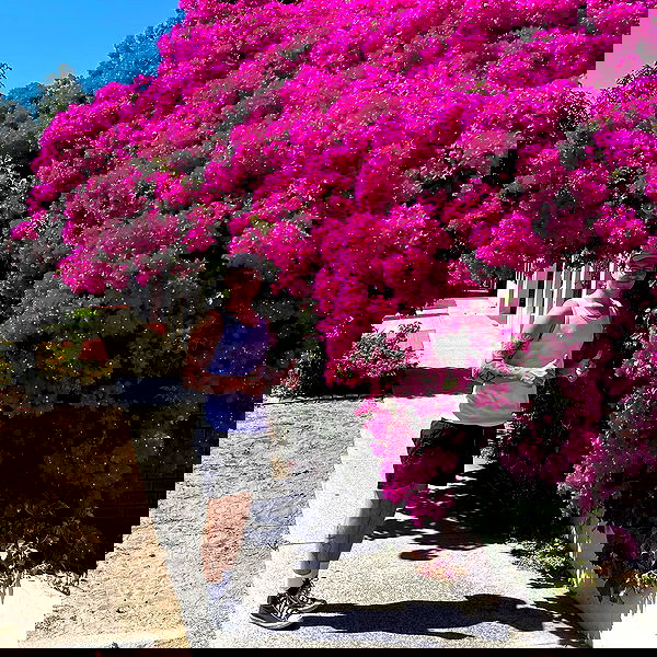 jtilb2 image ~ Altpins