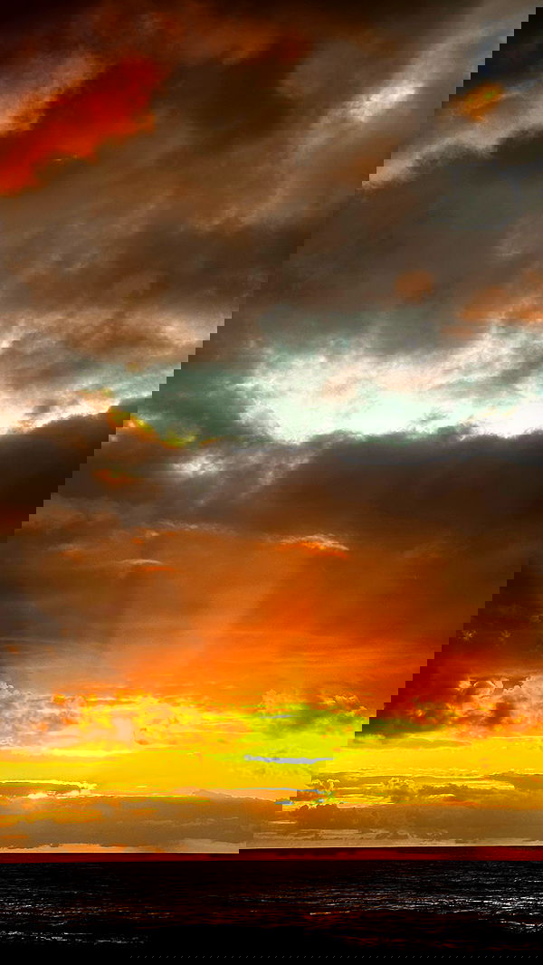 taylor.creeden taylor.creeden archive image