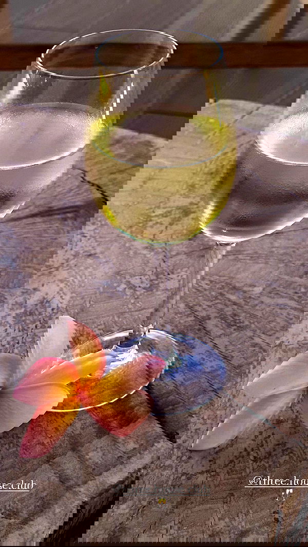 taylor.creeden taylor.creeden archive image