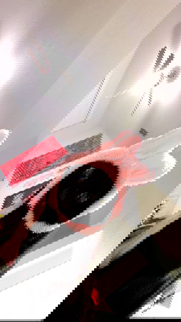 suikomuu suikomuu archive image