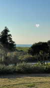 maori_cohen Altpins Profile Picture