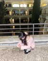 dante_yangpa Altpins Profile Picture