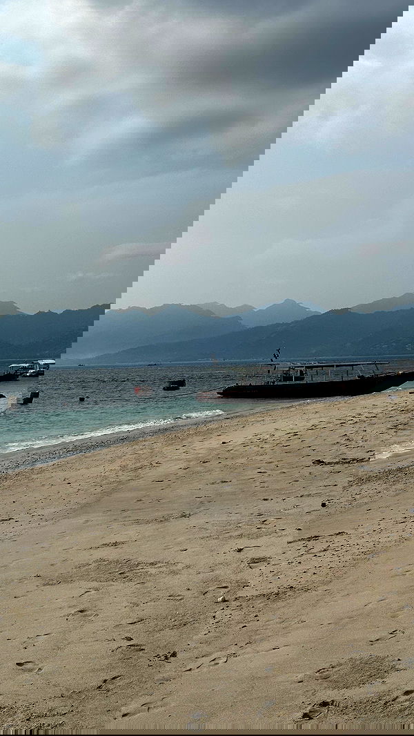 taylor.creeden taylor.creeden archive image