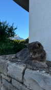 meiiisame Altpins Profile Picture