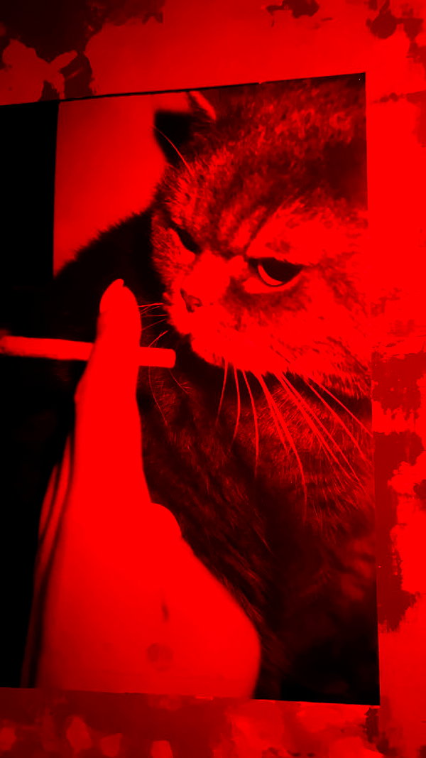alien.hanna instagram image archive image