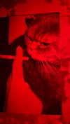 alien.hanna Altpins Profile Picture