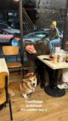 roni_ackerman Altpins Profile Picture