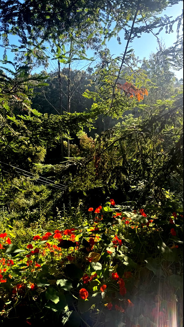mmelany.4 instagram image archive image
