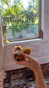 elizabethcampbelljones Altpins Profile Picture