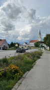 lollinski Altpins Profile Picture