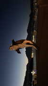 elsgatti Altpins Profile Picture