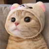 pavuk1_0 Altpins Profile Picture